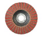 SK Flap Disk